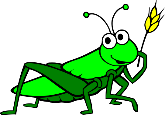 Grasshopper